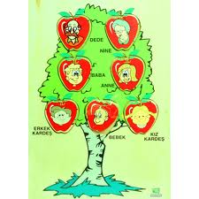 aile agacı