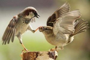 Eleştirme Alışkanlığı Olanlardan mısınız?