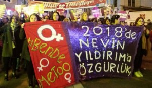 nevin yıldırım feminist